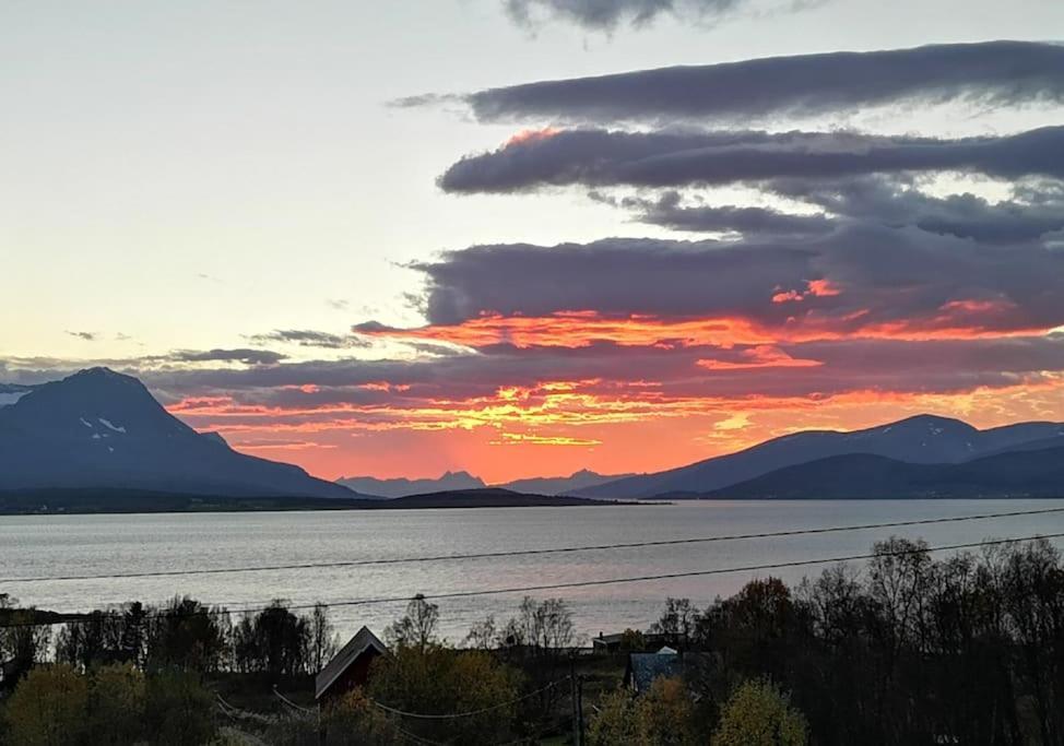 Liten Kjellerleilighet. Landlig Rolig Omrade. Tromso Bagian luar foto